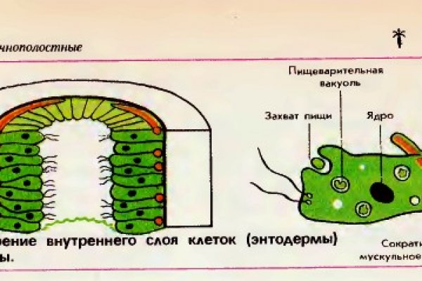 Зайти на кракен тор